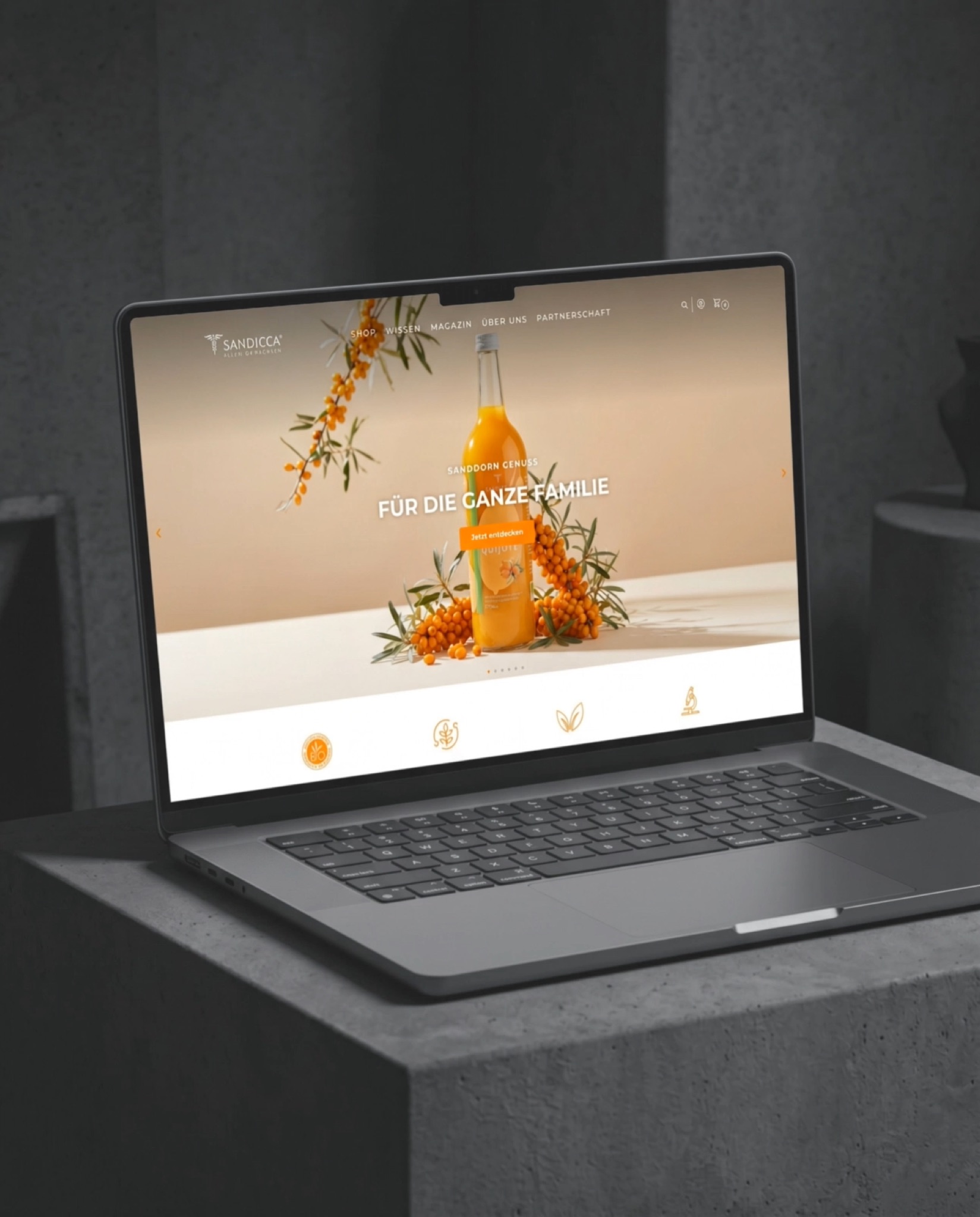 Sandicca – WooCommerce-Shop mit KI-Bildwelt